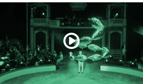 alt Video Gallerie 11